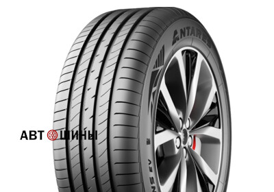 225/50 R17 Antares Ingens EV