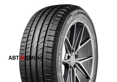 245/40 R19 Antares Ingens-Locus