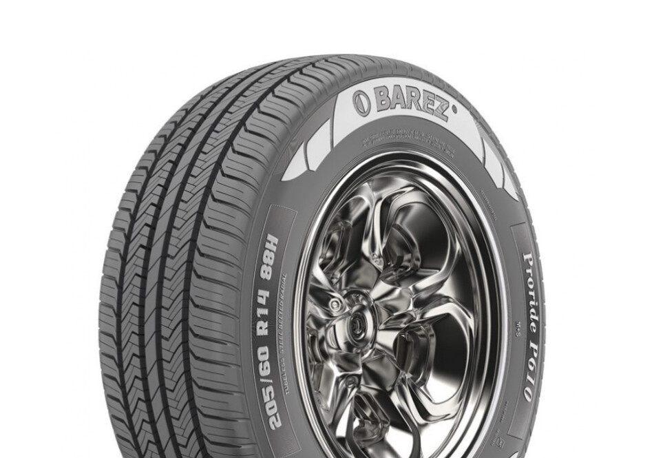 205/55 R16 BAREZ PRORIDE P610