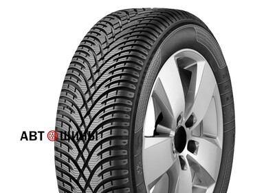 205/55 R16 BFGoodrich G-FORCE WINTER 2 2019г