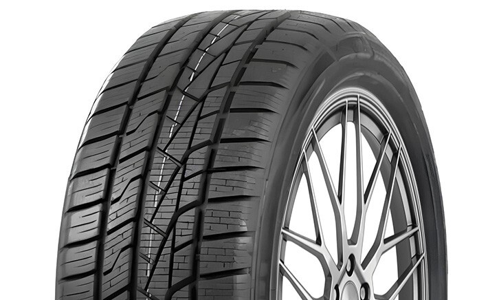 235/55 R17 Delinte AW5