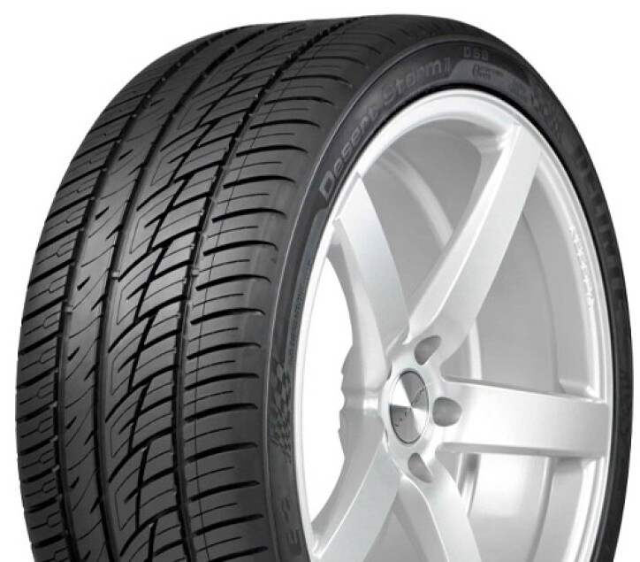 295/40 R21 Delinte DS8