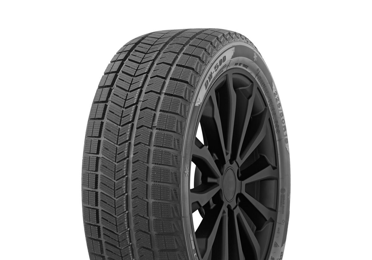 255/55 R20 DOUBLECOIN DW-500