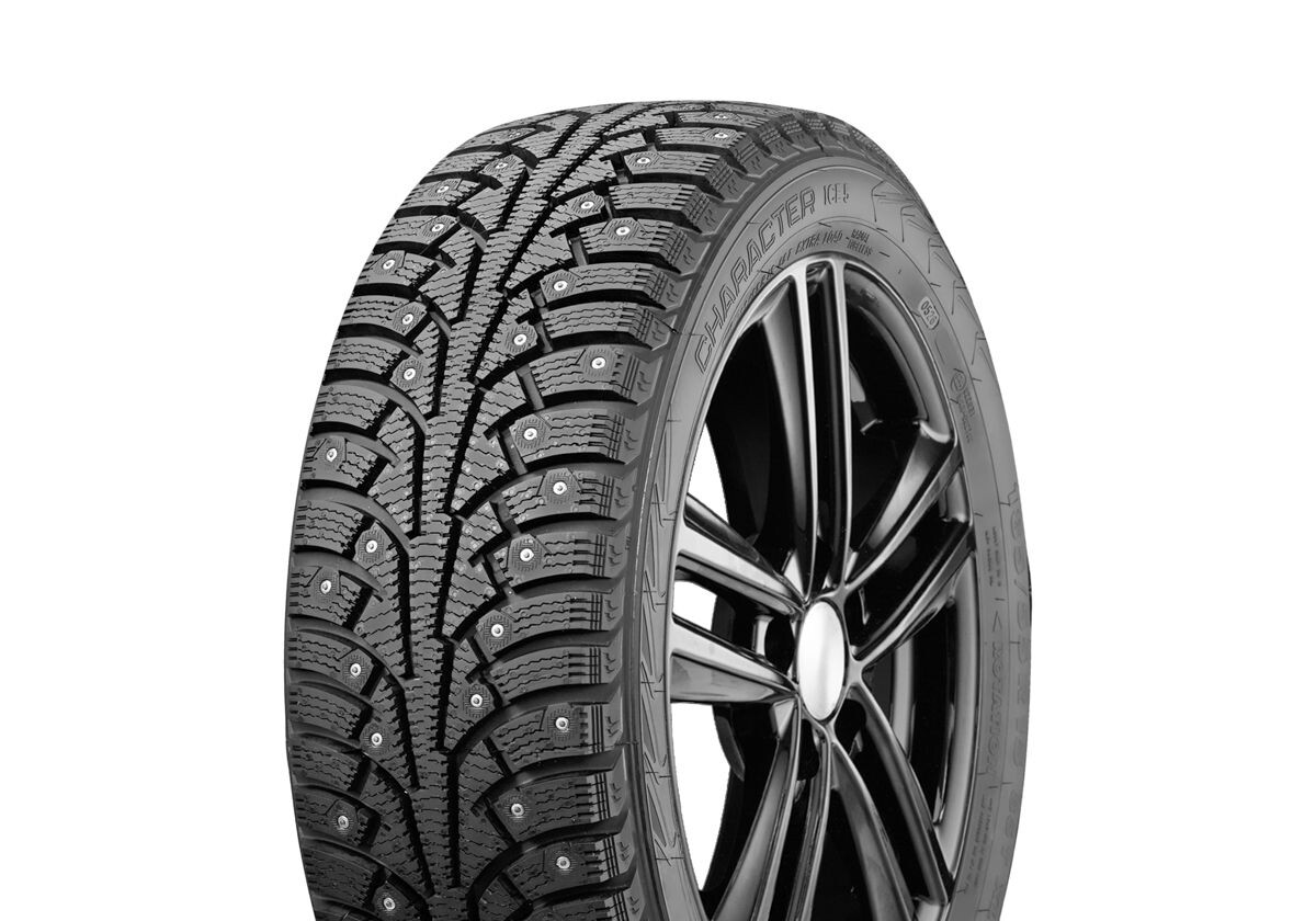 195/65 R15 Ikon Tyres Ikon Character Ice 5