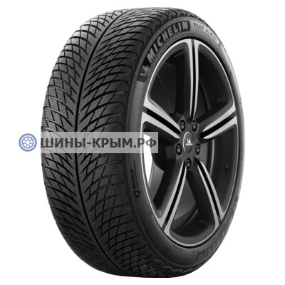 265/35 R21 Michelin Pilot Alpin 5