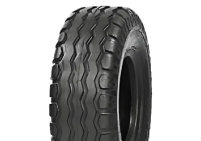 520/50 R17 Tianli F-304